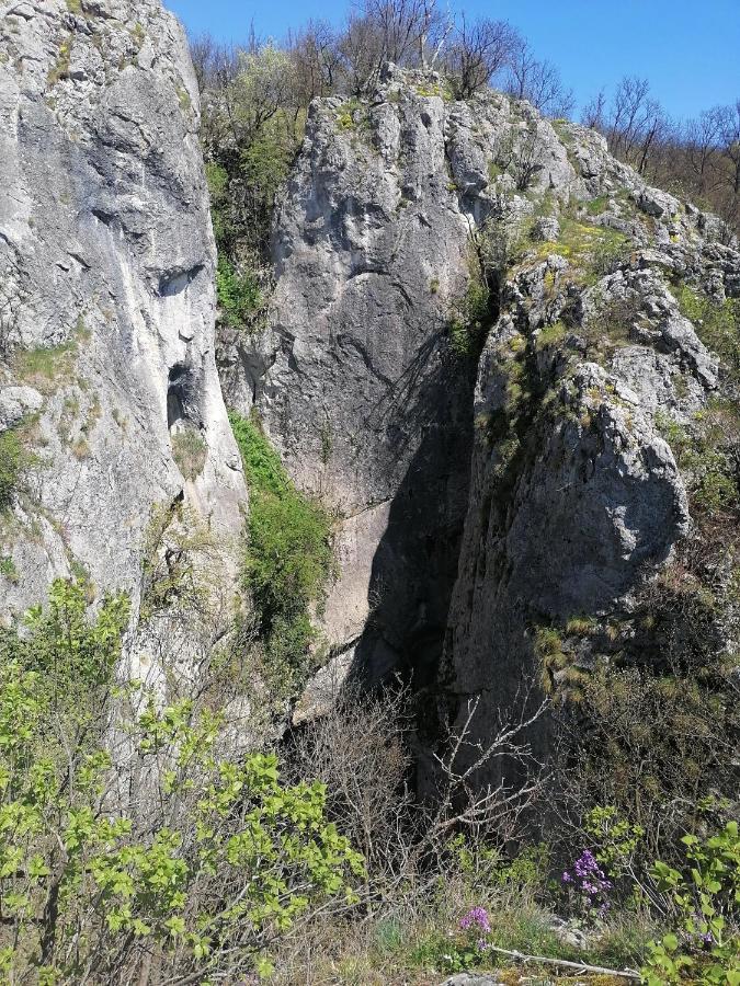 Вилла Etno Kuca Badejevic Plavna Экстерьер фото