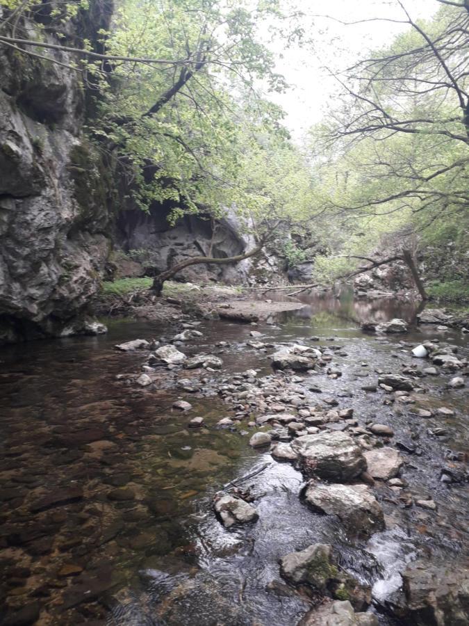 Вилла Etno Kuca Badejevic Plavna Экстерьер фото